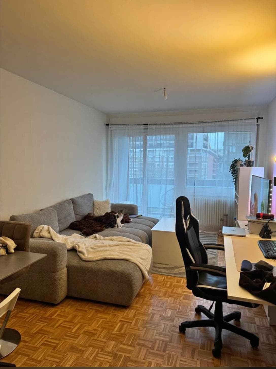 Appartement de 4 pièces aux Charmilles - photo 1