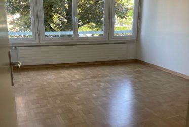 Appartement de 4 pièces au Grand-Lancy.