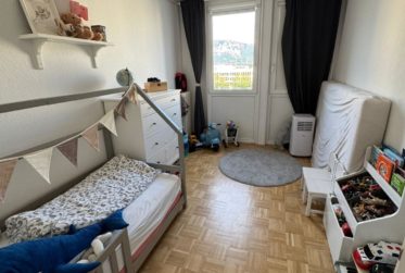 Appartement de 5 pièces au Petit-Lancy.