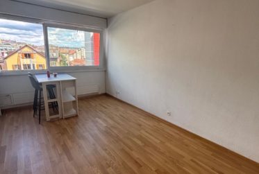 Appartement de 2 pièces à la Servette.