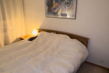 Appartement de 3 pièces à Plainpalais.