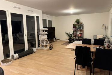 Appartement de 5 pièces à Chavannes