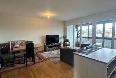 Appartement de 6 pièces à Carouge