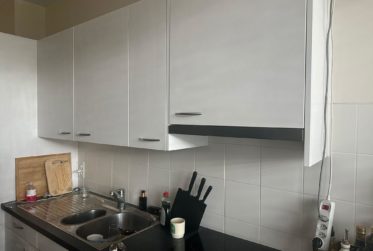 Appartement de 3 pièces meublé aux Eaux-Vives.