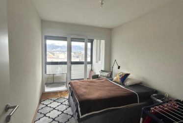 Appartement de 6 pièces à Carouge