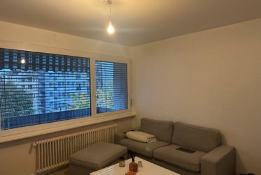 Appartement de 3 pièces meublé aux Eaux-Vives.