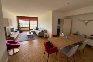 Appartement de 4 pièces à Lancy.