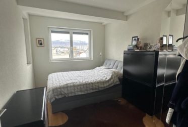 Appartement de 6 pièces à Carouge