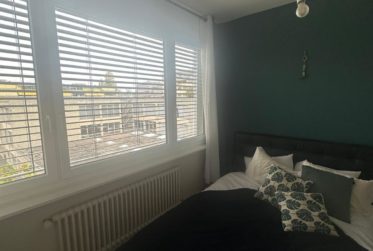 Appartement de 3 pièces meublé aux Eaux-Vives.