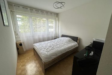 Appartement de 6 pièces à Avully