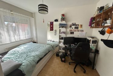 Appartement de 6 pièces à Avully