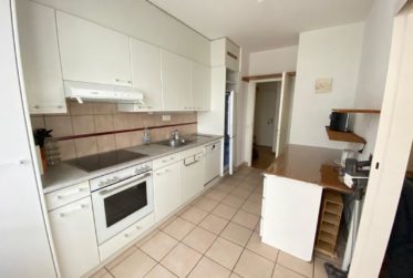 Appartement de 3 pièces à Plan-Les-Ouates.