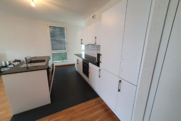 Appartement de 6,5 pièces à Meyrin.