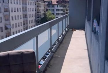 Appartement de 4 pièces aux Charmilles