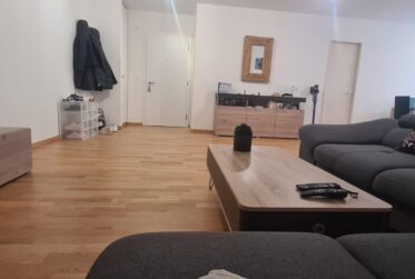 Appartement de 3 pièces à Châtelaine.